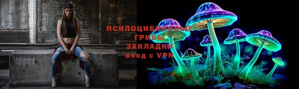 ешки Алексеевка
