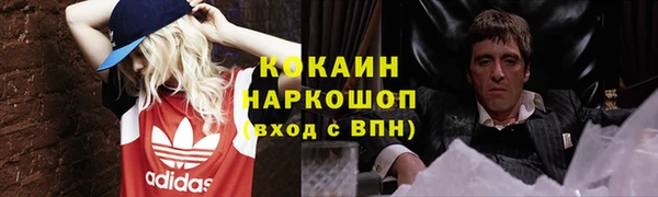спиды Новодвинск