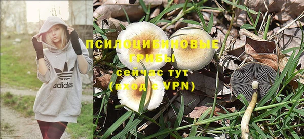 ешки Алексеевка