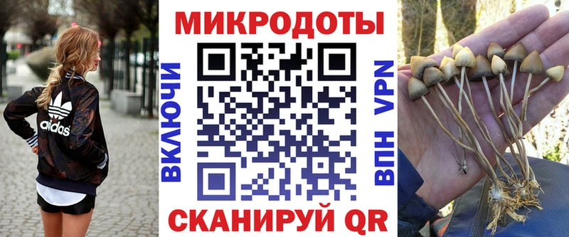 площадка клад  Алдан  Галлюциногенные грибы Magic Shrooms 